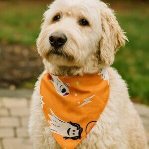 Hyde & EEK! Reversible Ghost & Pumpkin Glow-in-the-Dark Halloween Dog Bandana